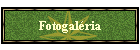 Fotogalria